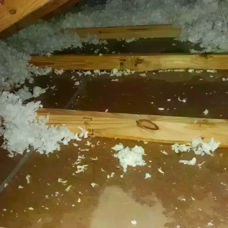 Attic Water Damage in McConnell AFB, KS