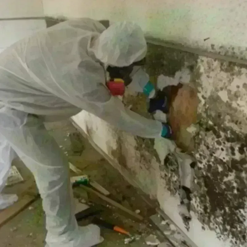 Mold Remediation and Removal in McConnell AFB, KS